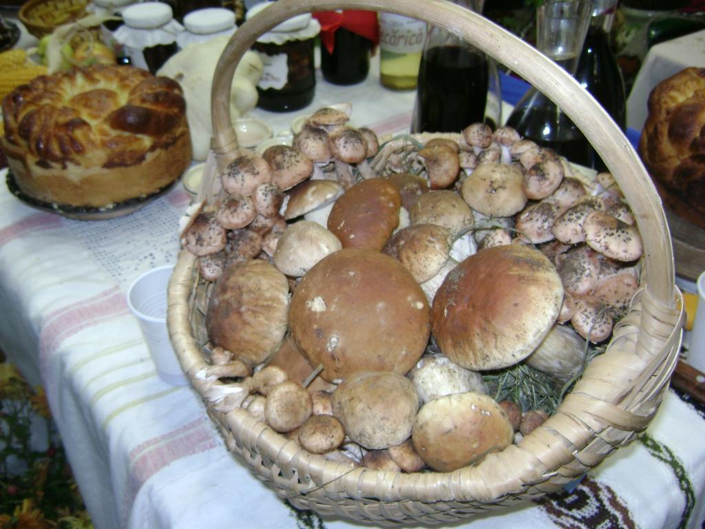瓦马Casa Bunicii Din Bucovina别墅 客房 照片